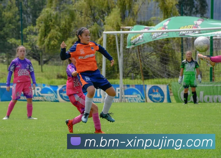 多媒体互动体验